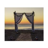 Sunny Beach Weddings image 3
